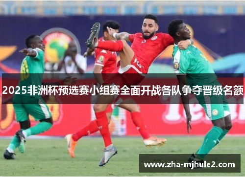 2025非洲杯预选赛小组赛全面开战各队争夺晋级名额